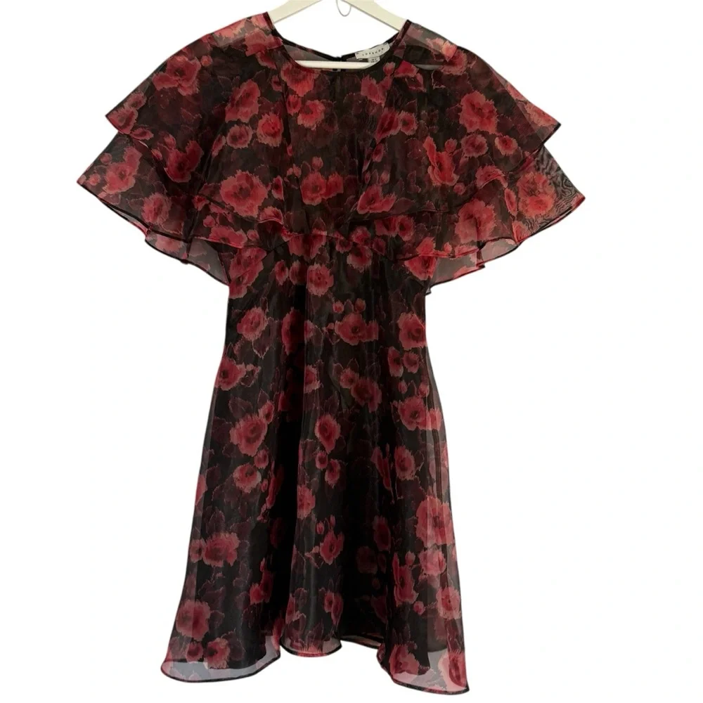Topshop Women’s Organza‎ Floral Print Mini Dress Size 2 Lightweight